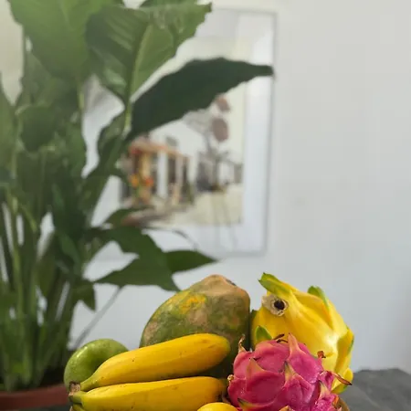 Casa Rene - Sunny Near And Center Apartment