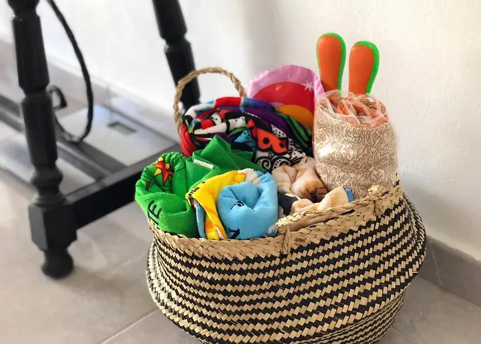 Casa Rene - Sunny Near And Center